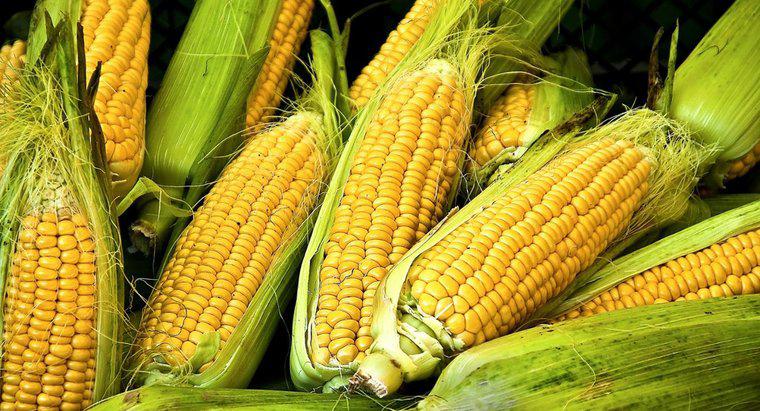 Il mais è un amido o una verdura?