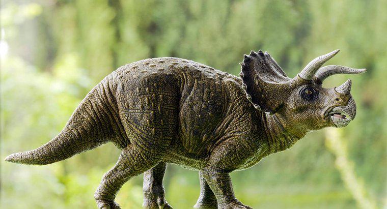 Cosa ha mangiato il triceratopo?