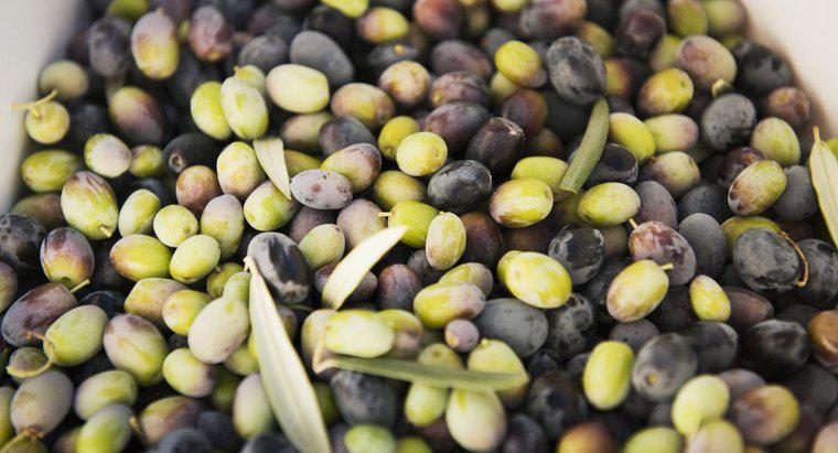 Le olive crude sono velenose?