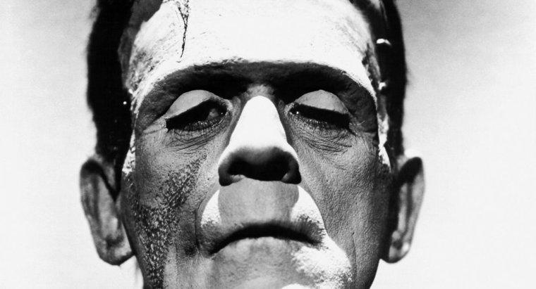 Perché "Frankenstein" è considerato un romanzo gotico?