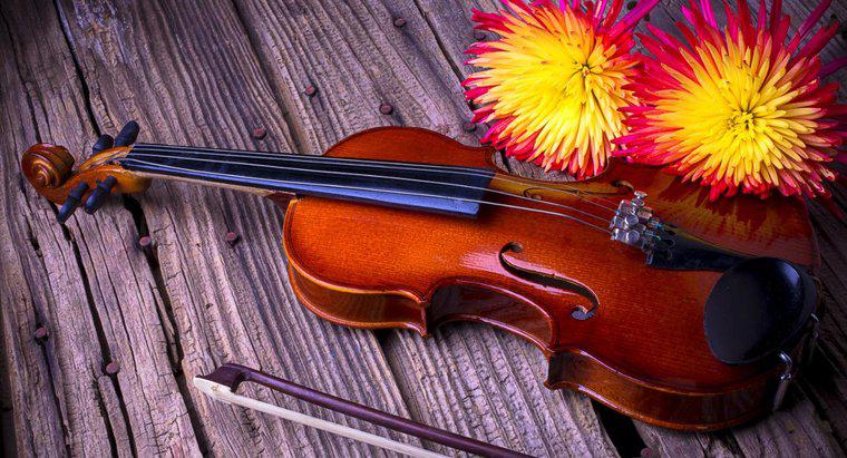 Quali sono alcuni fatti interessanti sul violino?