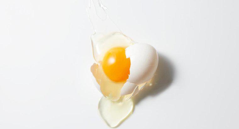 Le uova possono essere utilizzate come trattamento per i capelli?