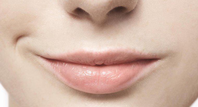 Quali sono le cause delle ferite alla bocca?