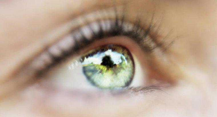 Quali sono le cause di Black Floaters negli occhi?