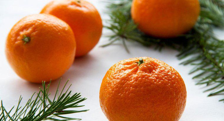 Qual è il significato di un'arancia in una calza di Natale?