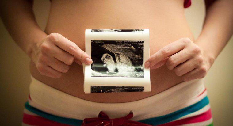 Quanto è grande il mio utero a 13 settimane?