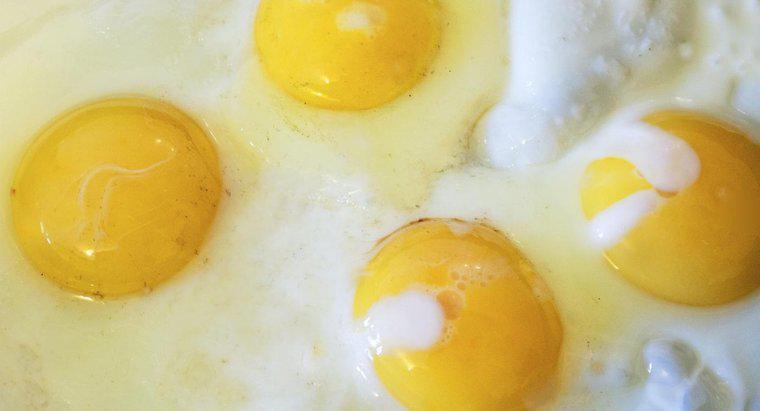 Chi è stata la prima persona a mangiare un uovo?