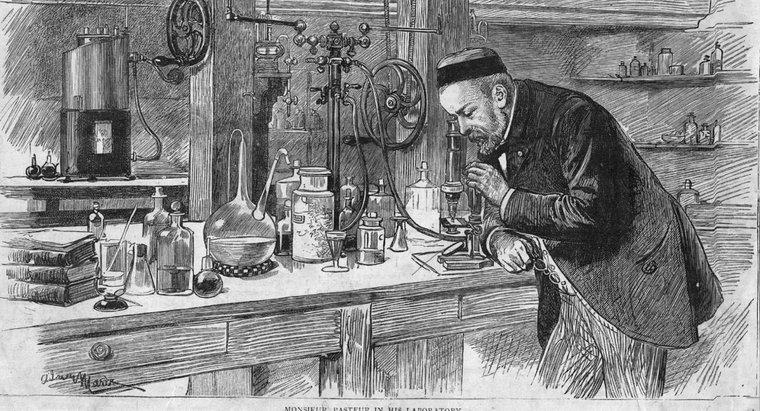 Che cosa ha scoperto Louis Pasteur?
